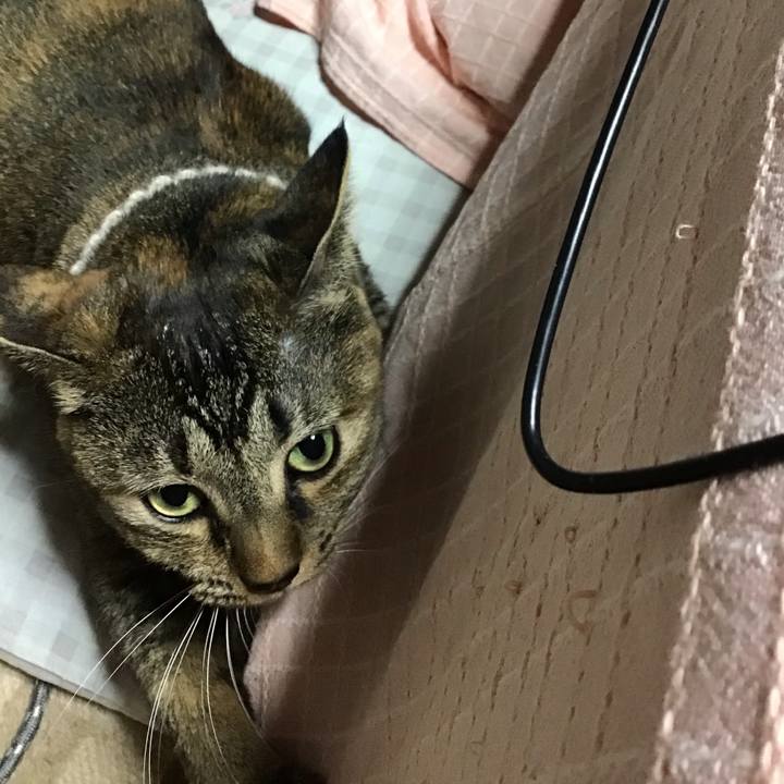 77f1f0fa 4780 4414 88f3 a0ebaa05eb5e 1667914427306