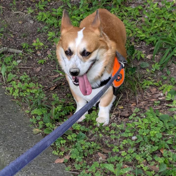 77f20b90 9b0b 43e7 aadc f415f9c25eec 1721871276743