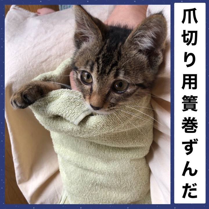 77f226a0 ee8d 4a9c 9838 4b4205faa531 1726370066839