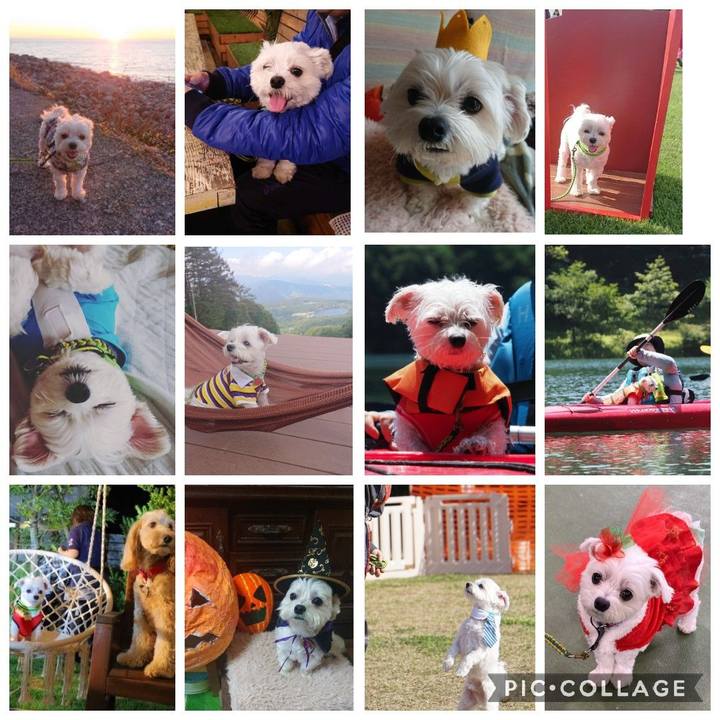 77f22c49 3c82 4fa3 b46b d22fd93551ad 1604729741619