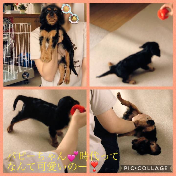 77f23137 e06a 4bbe 90fa 4cf0a1e4b3dc 1537087857321