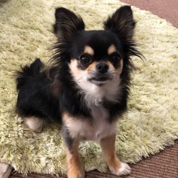 77f269d1 9505 44f7 aae2 8bad163e2801 1579568401385