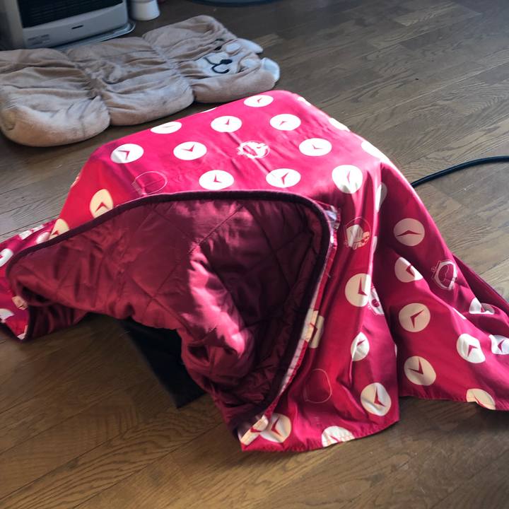 77f2bc69 313c 4c7b b938 8ba273c7e6cb 1617140294918