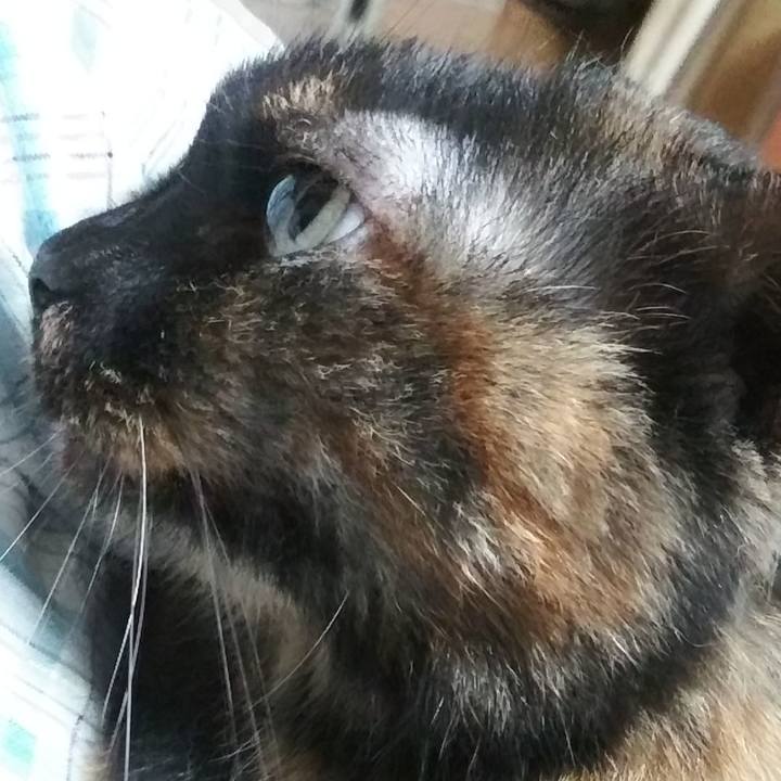 77f2bce4 8e15 43c3 8d2a 599253384a16 1625746569888