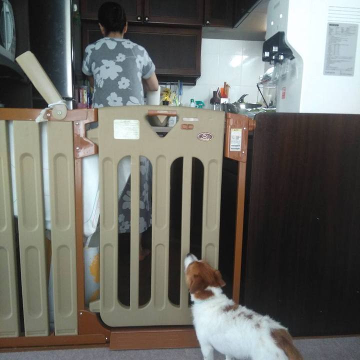 77f2be9c 430d 4660 94af 0d0905e828f8 1533678441306