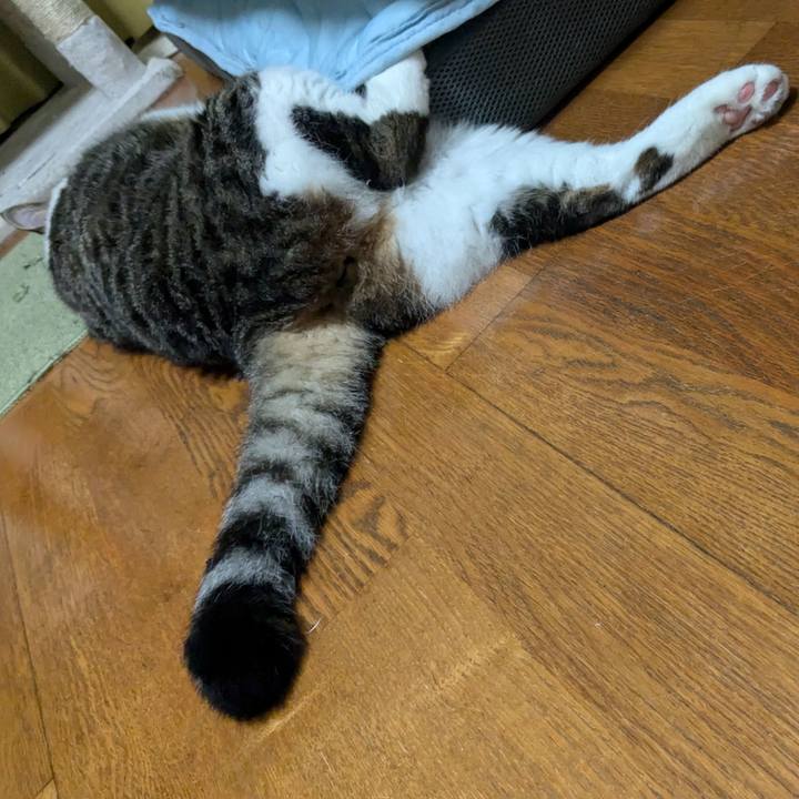 77f2c444 54e8 4239 8fea 27d312bb2976 1722079117263