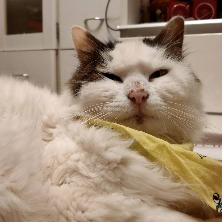 77f2c5bb 24e3 4650 9d79 145c18b6b1f2 1582201146804