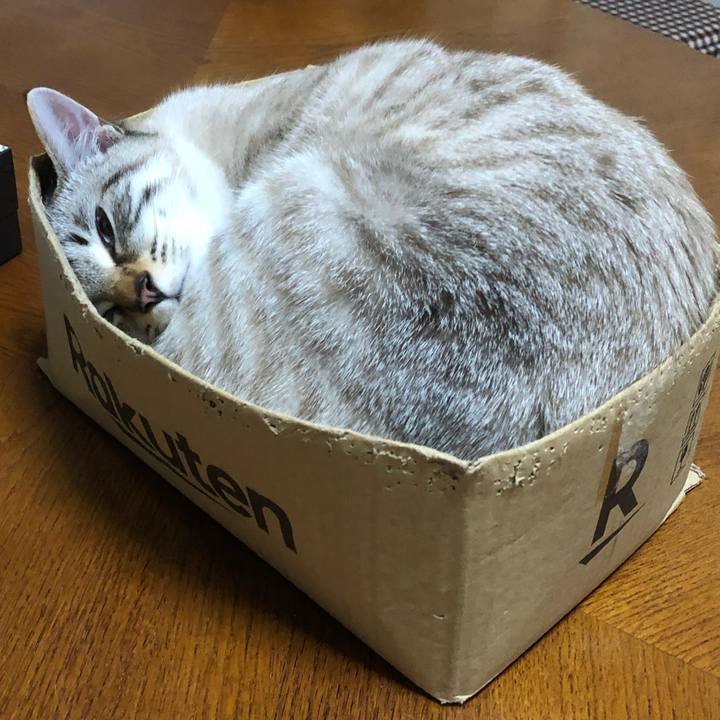 77f2c9df 97d2 4acd b42c 5fe7cc4d0c8f 1629904458486