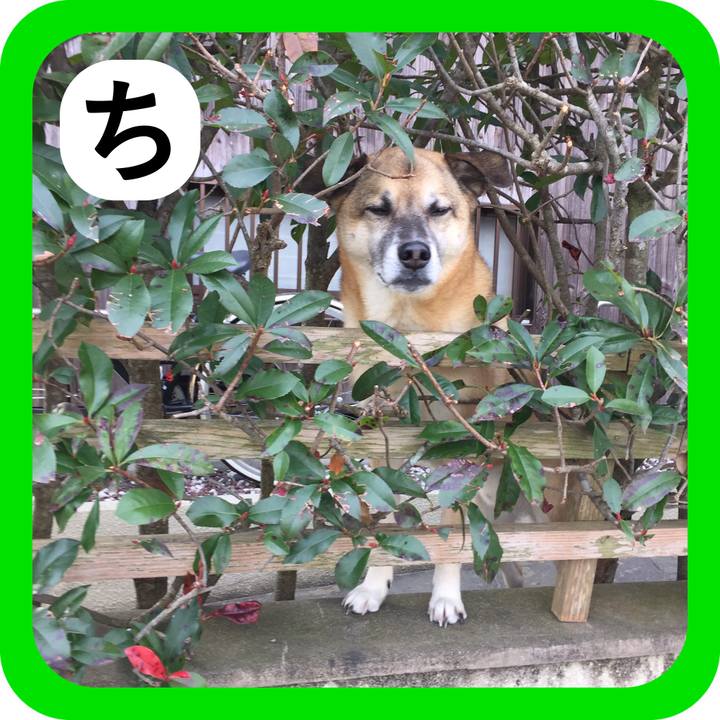 77f2d37c ada1 438b a1ad a03529290328 1514790427210