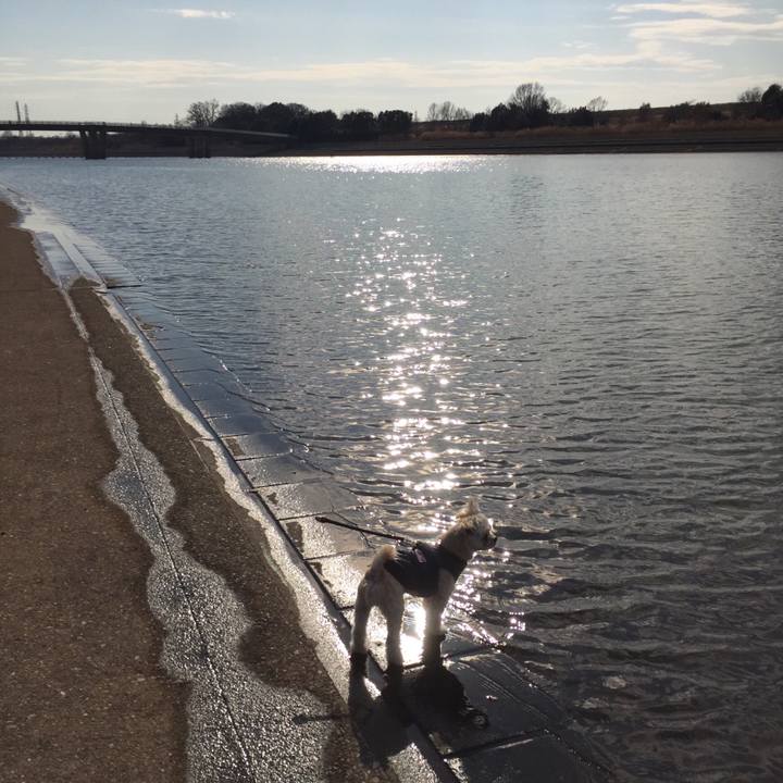 77f31950 efd1 476d a8c1 5631f7e0460a 1549181638152