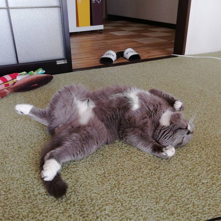 77f31fb8 d826 409a a5c7 a4ec4067e73f 1723851899188