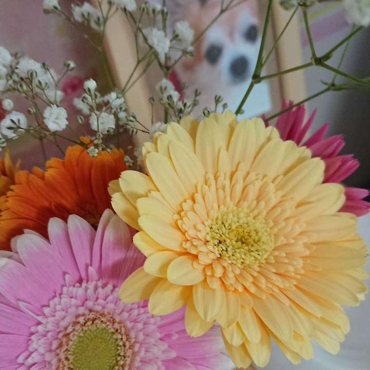 77f35a44 d955 46e2 b8e9 5bcd1d63019e 1556660823455