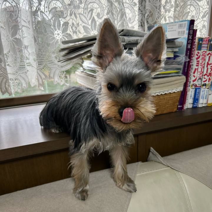 77f36f14 6fd2 4db5 925f 44cfbb08076f 1731215349452