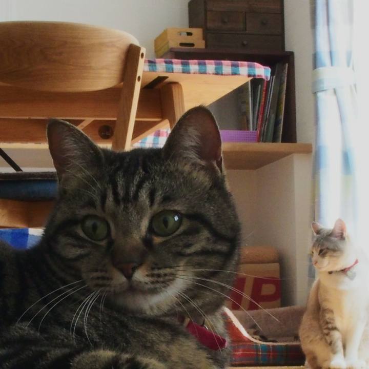 77f37869 d88a 49c9 b6c8 3d7f9a0c8a0a 1588594493441