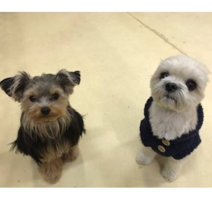 77f38840 e263 4500 9840 e7af874763c8 1513339698339