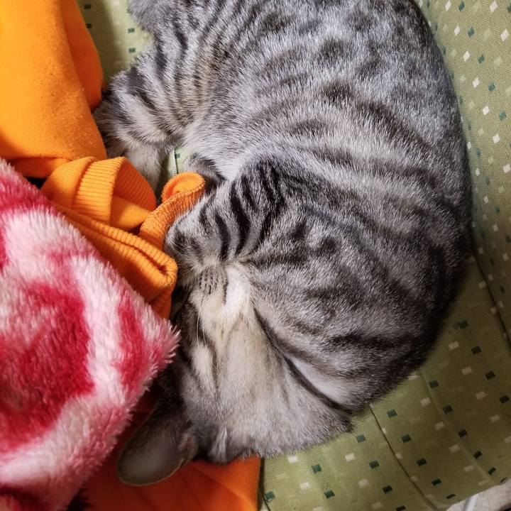 77f3ae73 108c 4b66 a2ca f6d1fee6d042 1671358289946