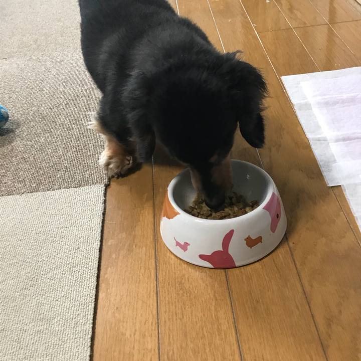 77f3bcb4 e688 49fd afe1 6f3ccffcdb87 1519594942545