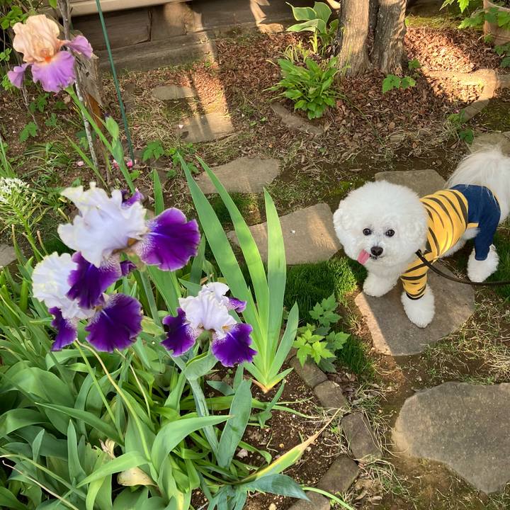 77f3ddcd 885e 4514 bede 052bab8e2fa7 1747265628932