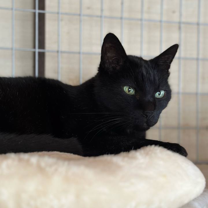 77f3e879 0732 480a aab6 785921e27eba 1677116121543