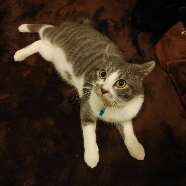 77f40207 117c 47d3 851e 964f8467d982 1578838158599