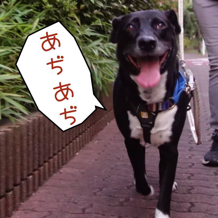 77f42b04 f089 4671 bf84 1de976d958e5 1655723086641