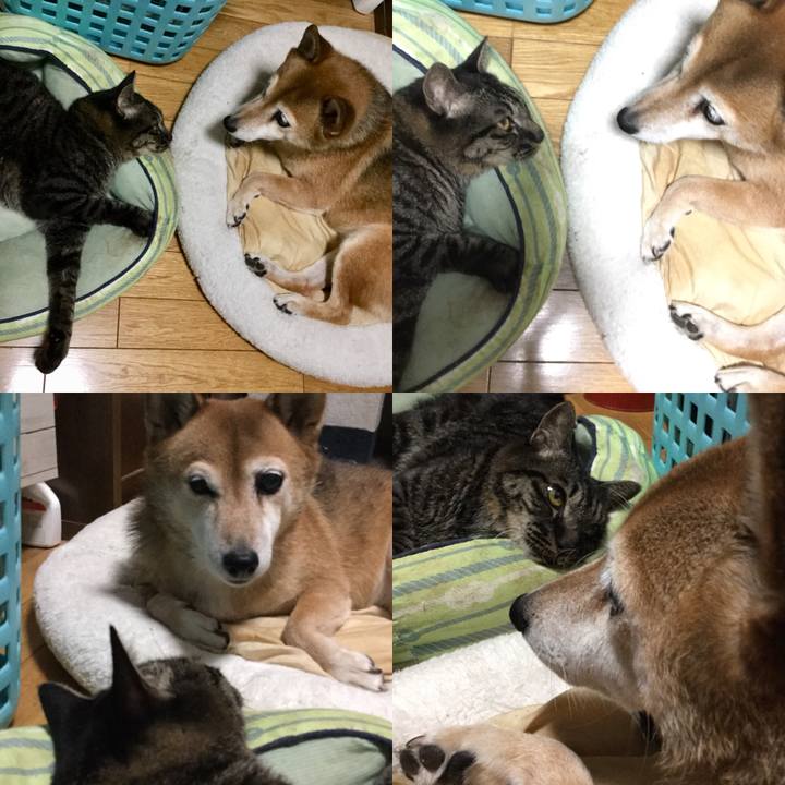 77f42b53 f9fc 4df7 a291 d93d309c15b7 1630414721873