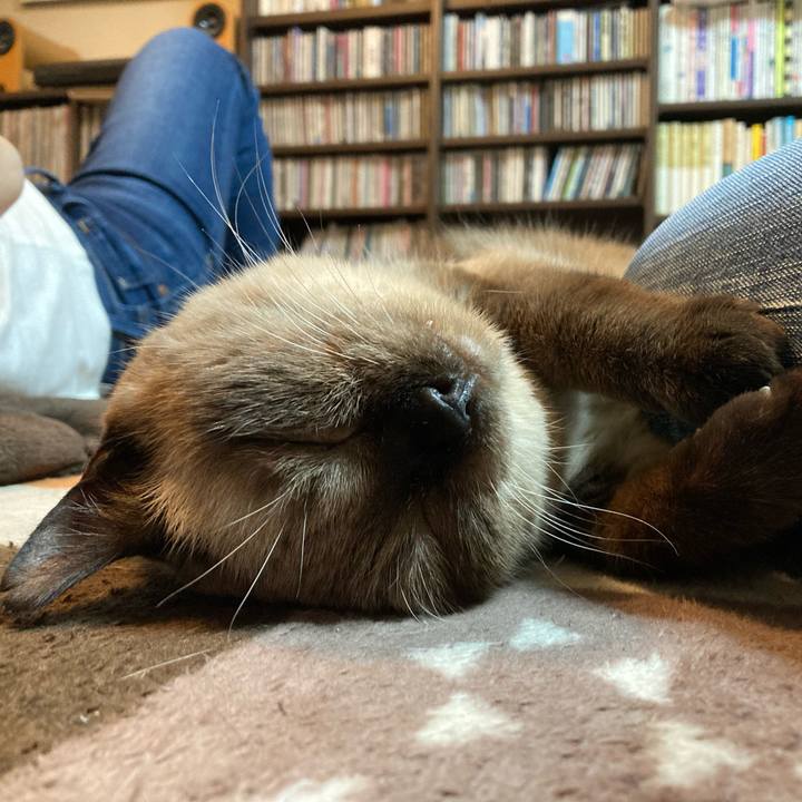 77f447e6 c120 4604 8a4f 5ee3e35c289c 1634264174839