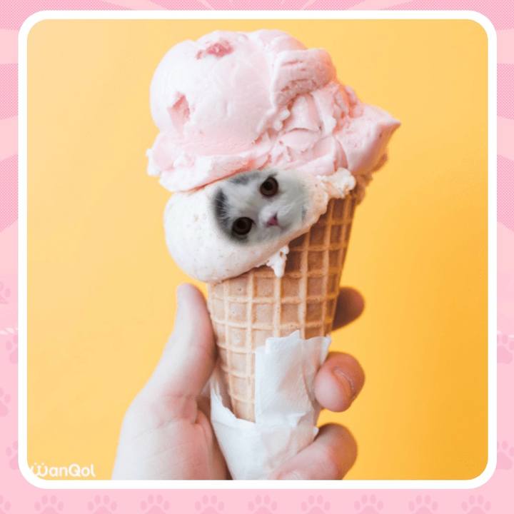 77f4490b 0def 4273 9ff7 f9864d4555cd 1640220717525