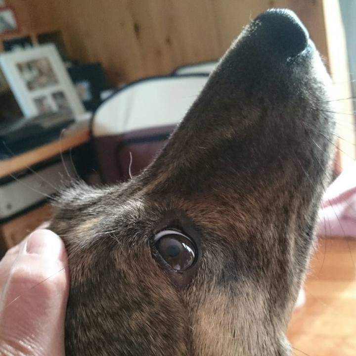 77f44c74 0e92 4398 818c 84e8ca1f9ba4 1511059246083