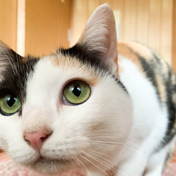 77f499ad 7fff 4733 8aa2 fd03fa4fffe1 1575943267391