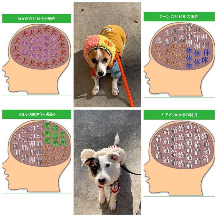 77f4b1c7 882b 47e9 8d32 ec6034c005ab 1546927839401