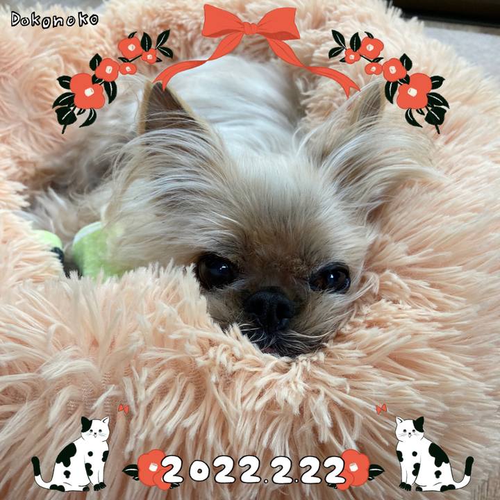 77f4b9d1 a31f 431d b600 de5e07f580ba 1645527434771