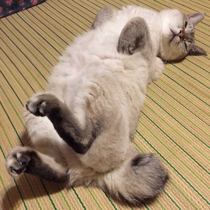 77f4dab5 d008 4b34 916b ed6bd654ce5d 1537538751574