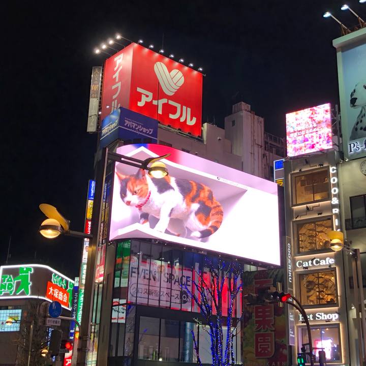 77f4daed 75d3 4257 ac87 1b78f0030d54 1646783602324