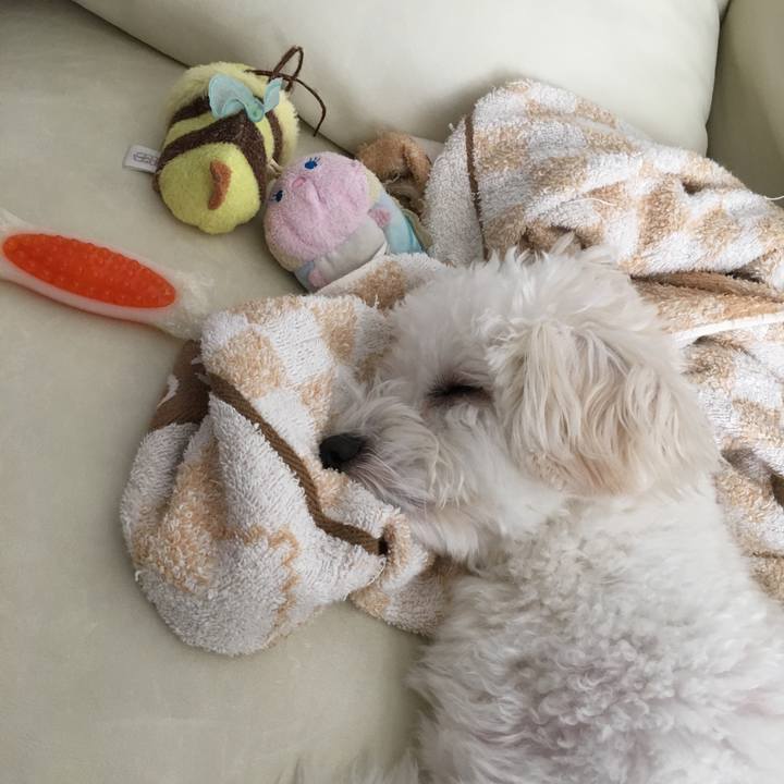 77f4de85 6dc3 4fd1 b527 61e69cac0458 1536553712438