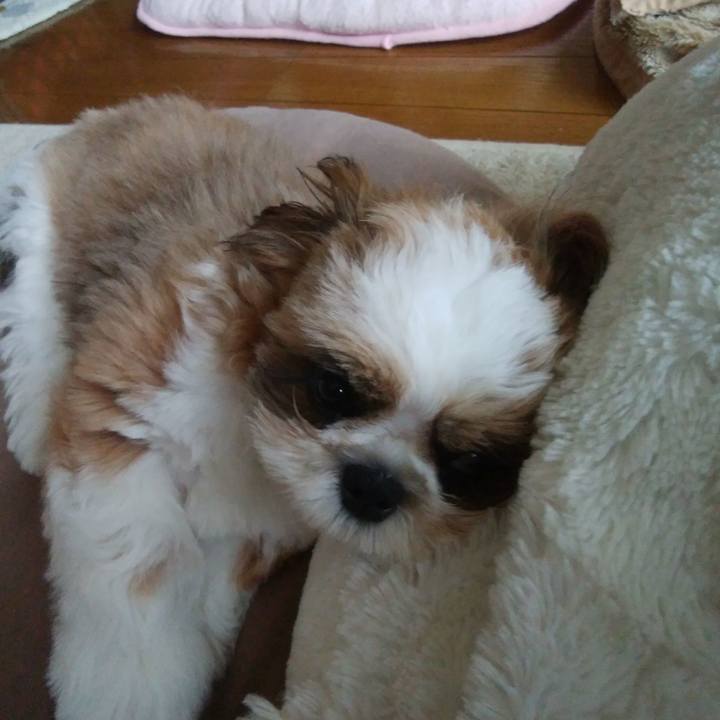 77f4f770 cab0 497b bcc7 69c00aca413a 1536732115374