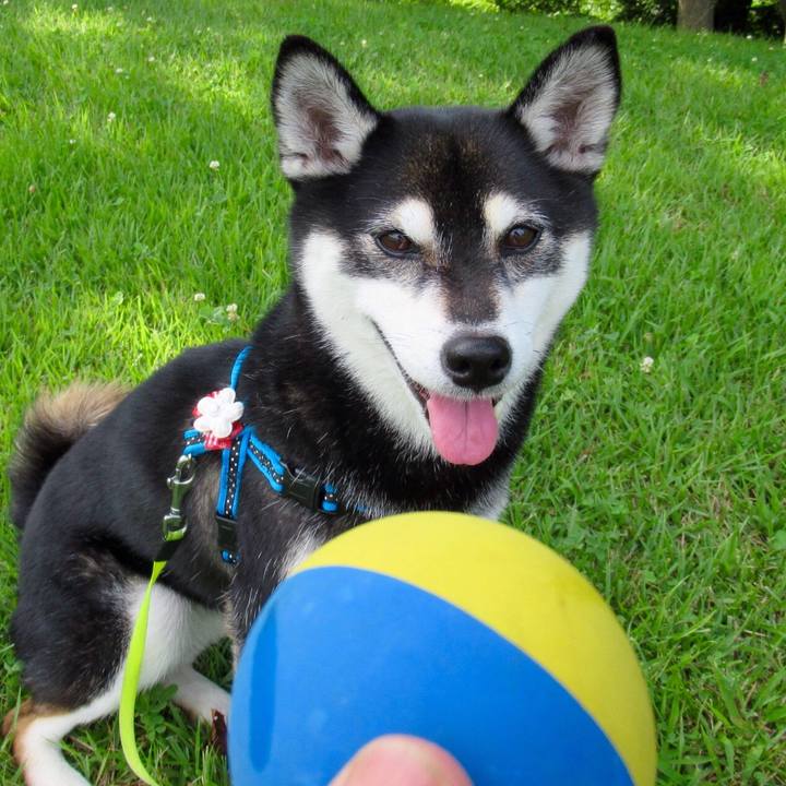 77f53b53 e8e9 4a45 be5a 4b0e48677e1e 1562714898670