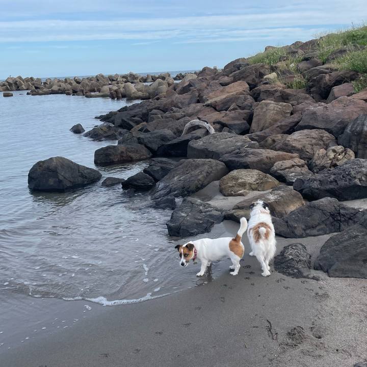 77f5e102 c823 4c6f 8c40 2b9a4232e158 1727392265500