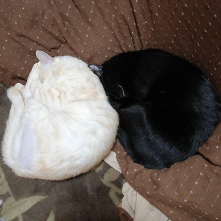 77f5e814 0e6a 46ec 8019 d7dca19c1584 1607251053784