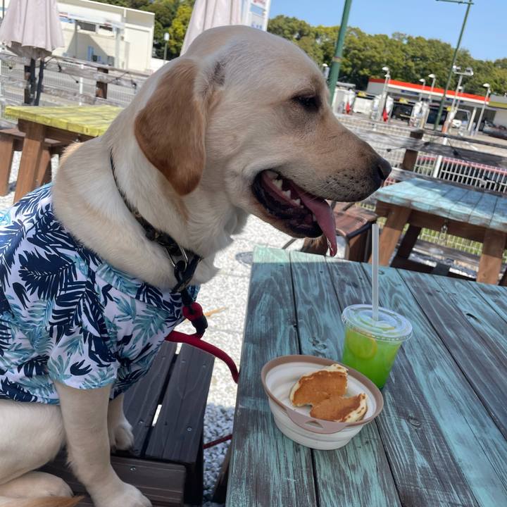 77f60114 20d3 4e66 842f 080f31b51645 1649223798410