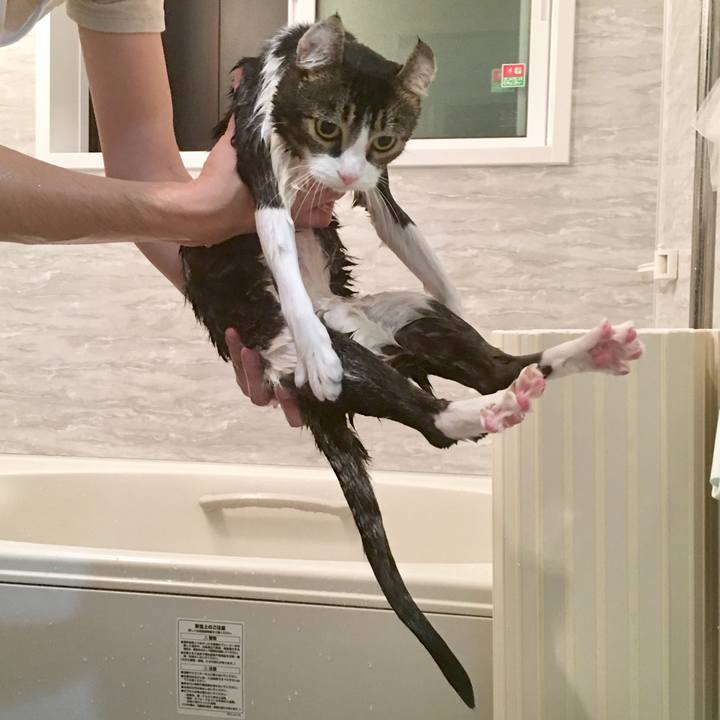 77f62744 8c2e 45c2 a56f e4dd8f6c55e7 1510152228101