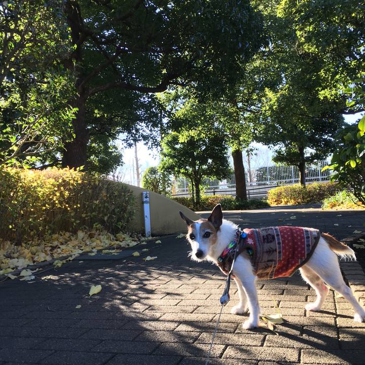 77f64096 bf2b 4f22 b7b7 e2bec91cabfc 1639785390149