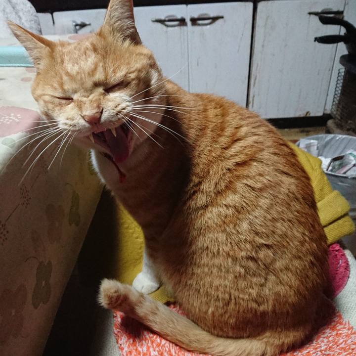 77f64d4b 834d 4892 913b e9f4798e83b0 1573243710475