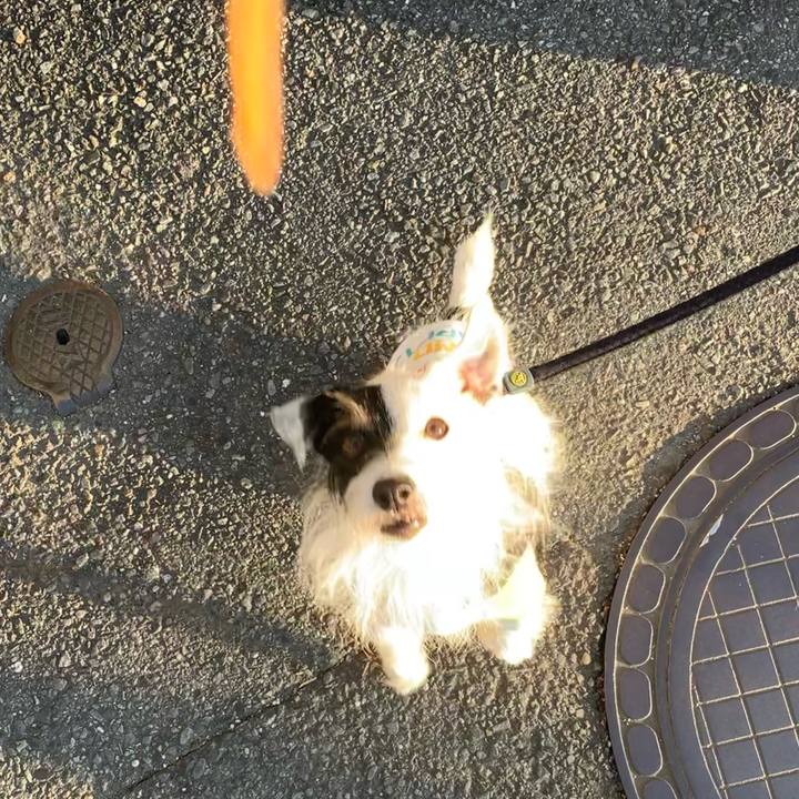 77f6f002 aed2 410b 9158 ce05f817e54d 1666510687983