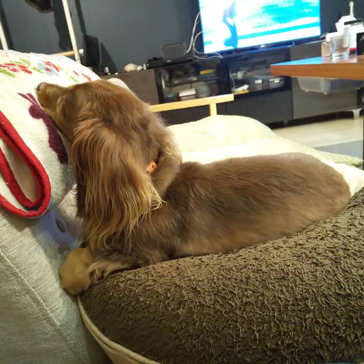 77f70527 e497 418b 87c9 517efd900b23 1569664745651