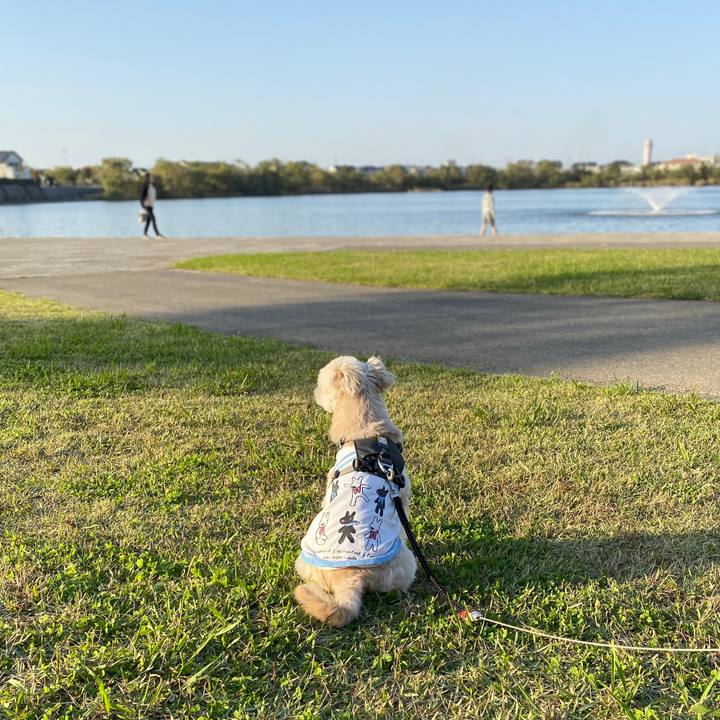 77f76587 6c60 44a3 947d 07ea1ce81290 1572677562950