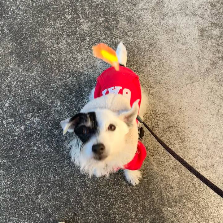 77f76f44 403a 4db4 b6ce 00a355068d12 1734305863456