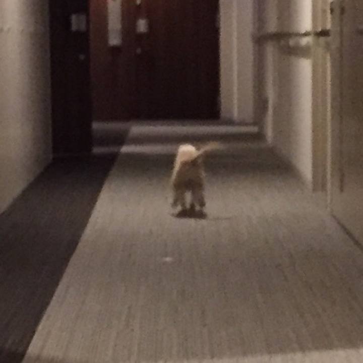 77f78f97 7159 480f 8e12 0c569780c17c 1563880790807