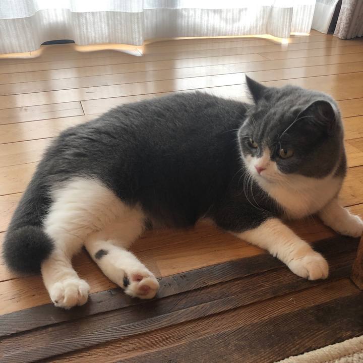 77f79dc5 21f3 4cc8 8c45 810230b0500d 1566354757778