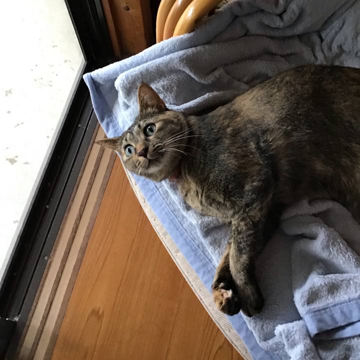 77f7a59f 4485 4c34 9018 30f56bc4be49 1629882050791